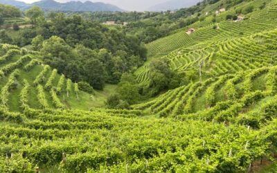 Andreola presenta la “A Rive Line” collection di Valdobbiadene DOCG in occasione del quarantesimo anniversario