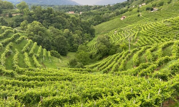 Andreola presenta la “A Rive Line” collection di Valdobbiadene DOCG in occasione del quarantesimo anniversario