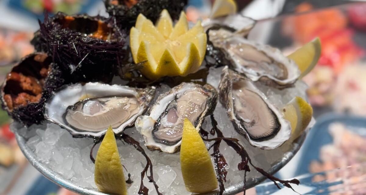 Da Pedol un Natale di eccellenza:dove il pesce fresco della storica Pescheria incontra il gusto delle proposte gourmet del Bistrot