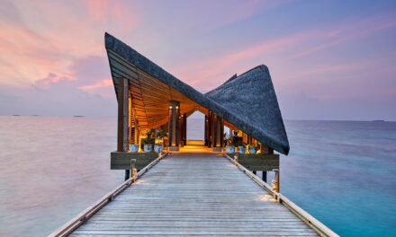 Joali Maldives x Maison Ruinart: il primo resort di arte immersiva delle Maldive