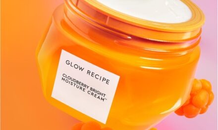 Coup de foudre: la Cloudberry Bright Moisture Cream di Glow Recipe