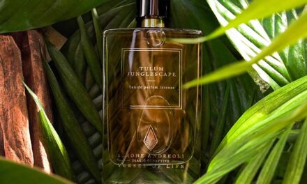 Simone Andreoli presenta “Tulum Junglescape”